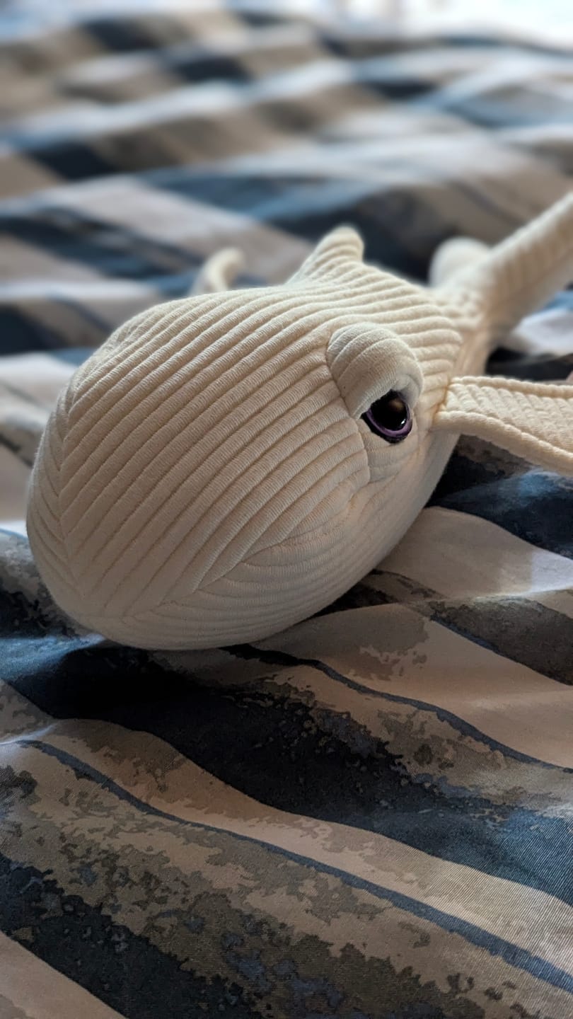 Customer photo review of The Mini Whale