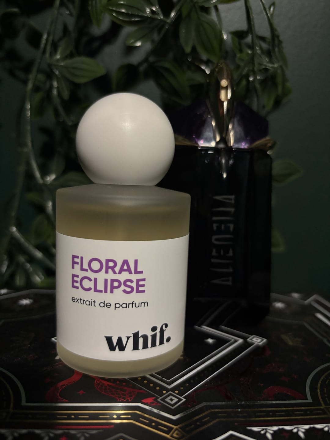 Customer photo review of Floral Eclipse