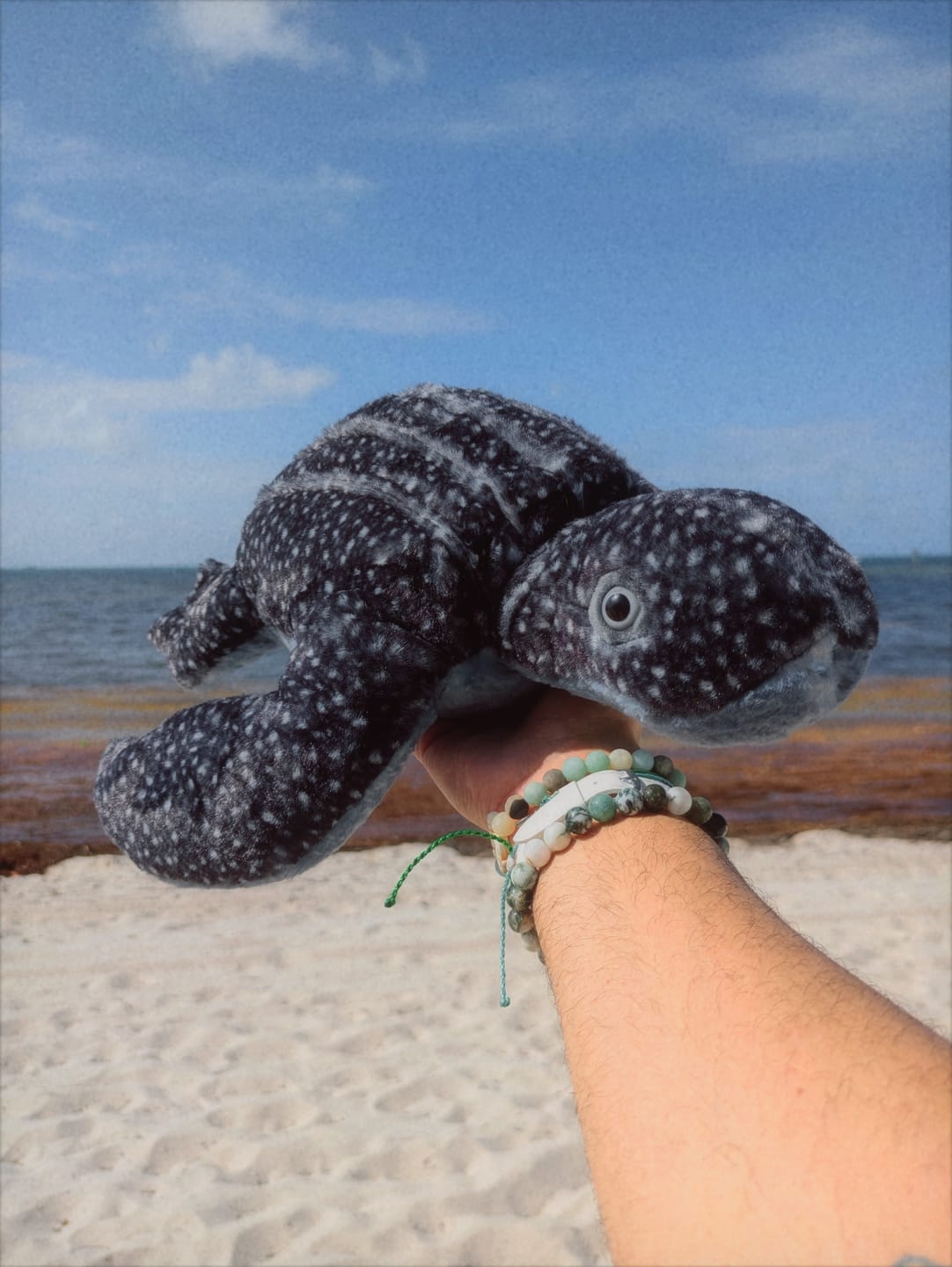 Customer photo review of The Journey Plush - Leatherback