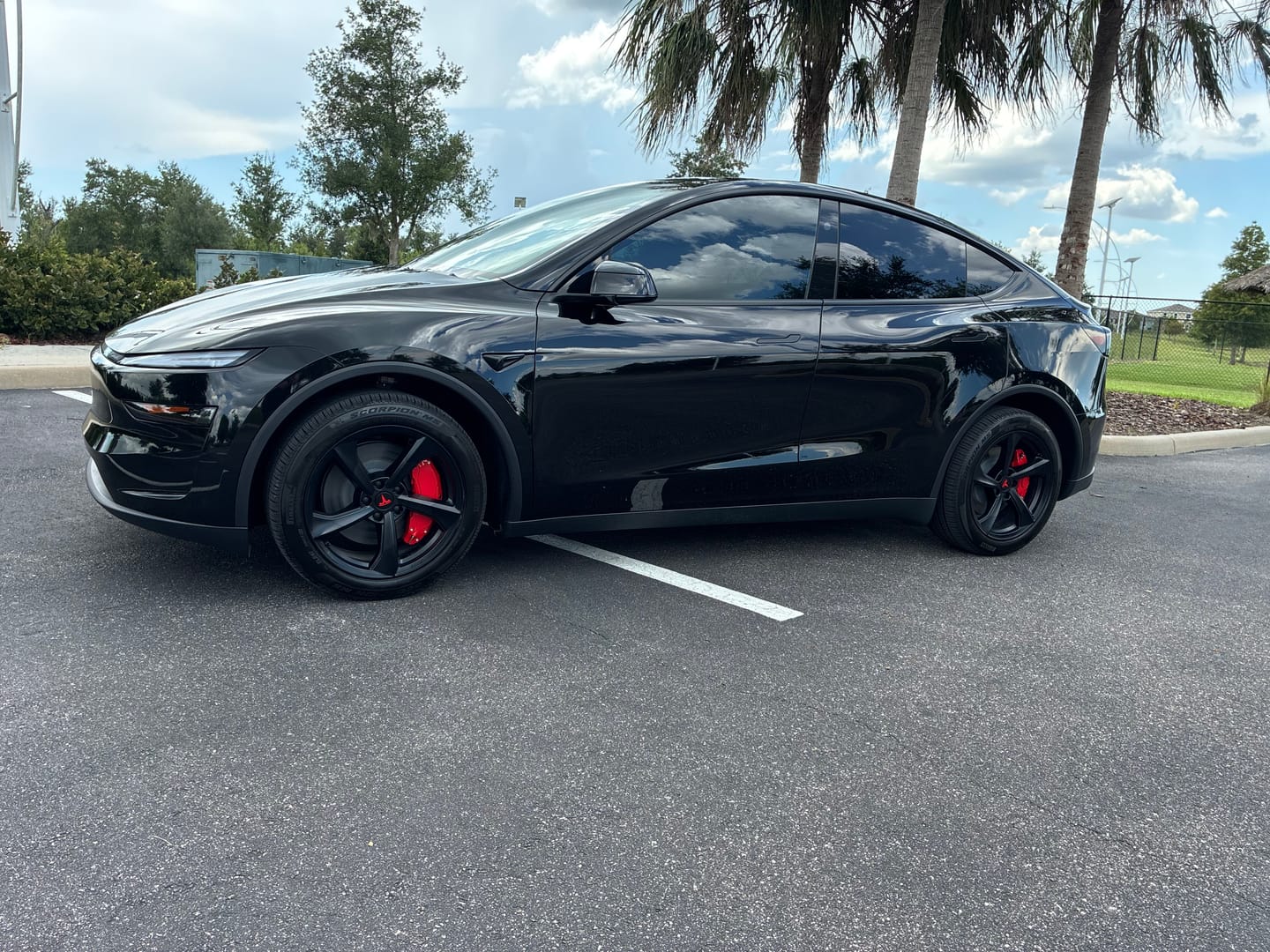 Customer photo review of TESERY 19" /20" Wheel Brake Caliper Cover For Tesla Model Y 2020-2026