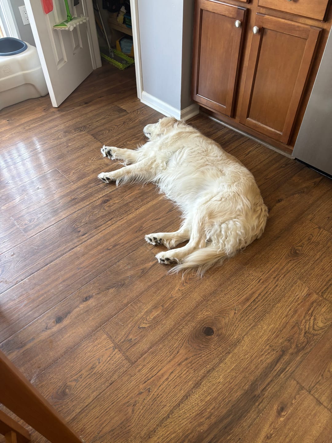 Customer photo review of Tucker's Gold 1000MG