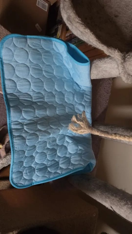 Customer photo review of Coolden Cooling Mat