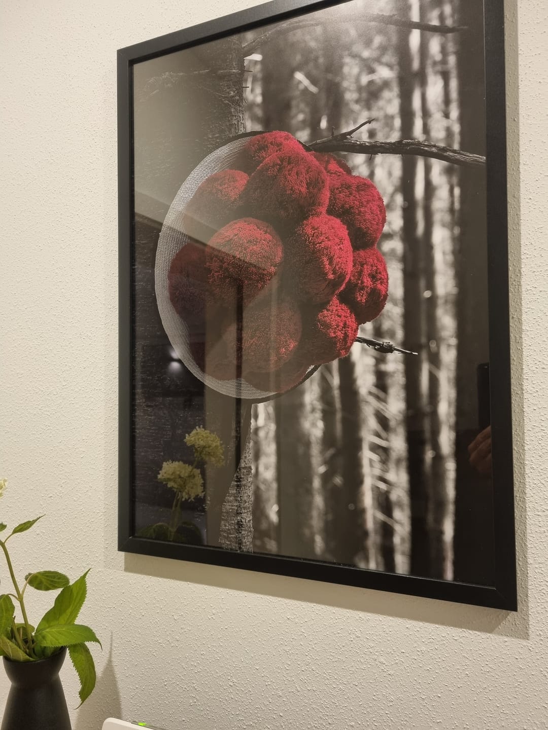 Customer photo review of Poster Schwarzwald mit traditionellem Bollenhut Hochformat