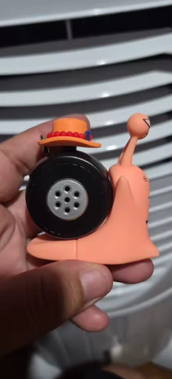 Customer photo review of Mushi Voice Grabadora