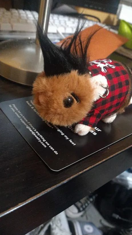 Customer photo review of PUNK RAT PLUSHIES