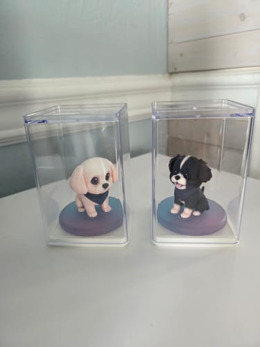 Customer's two DoDoWish Gift Box figurines, a light-colored dog and a black and white dog, each inside a clear display case.