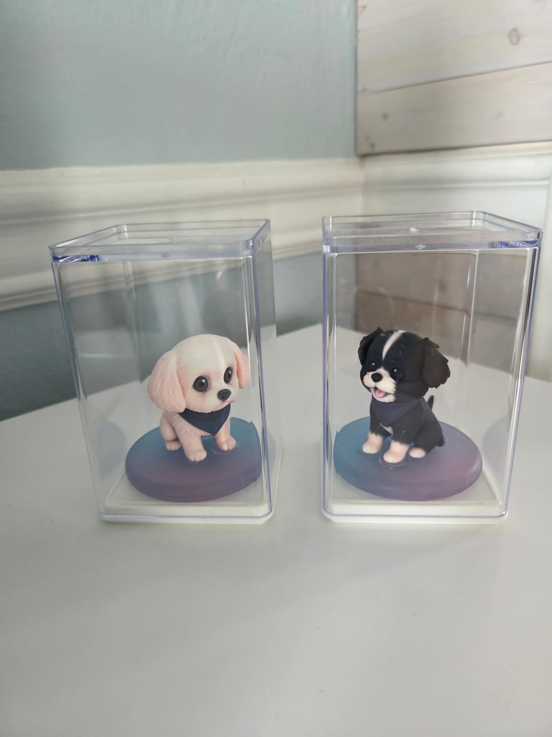 Customer photo review of DoDoWish Gift Box (Free Gift)