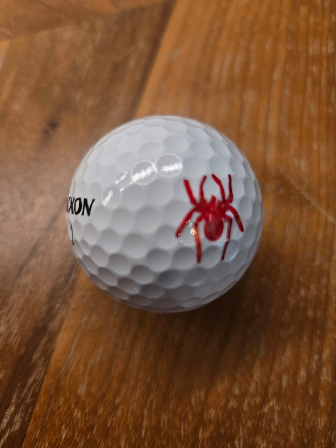 Customer photo review of Spider