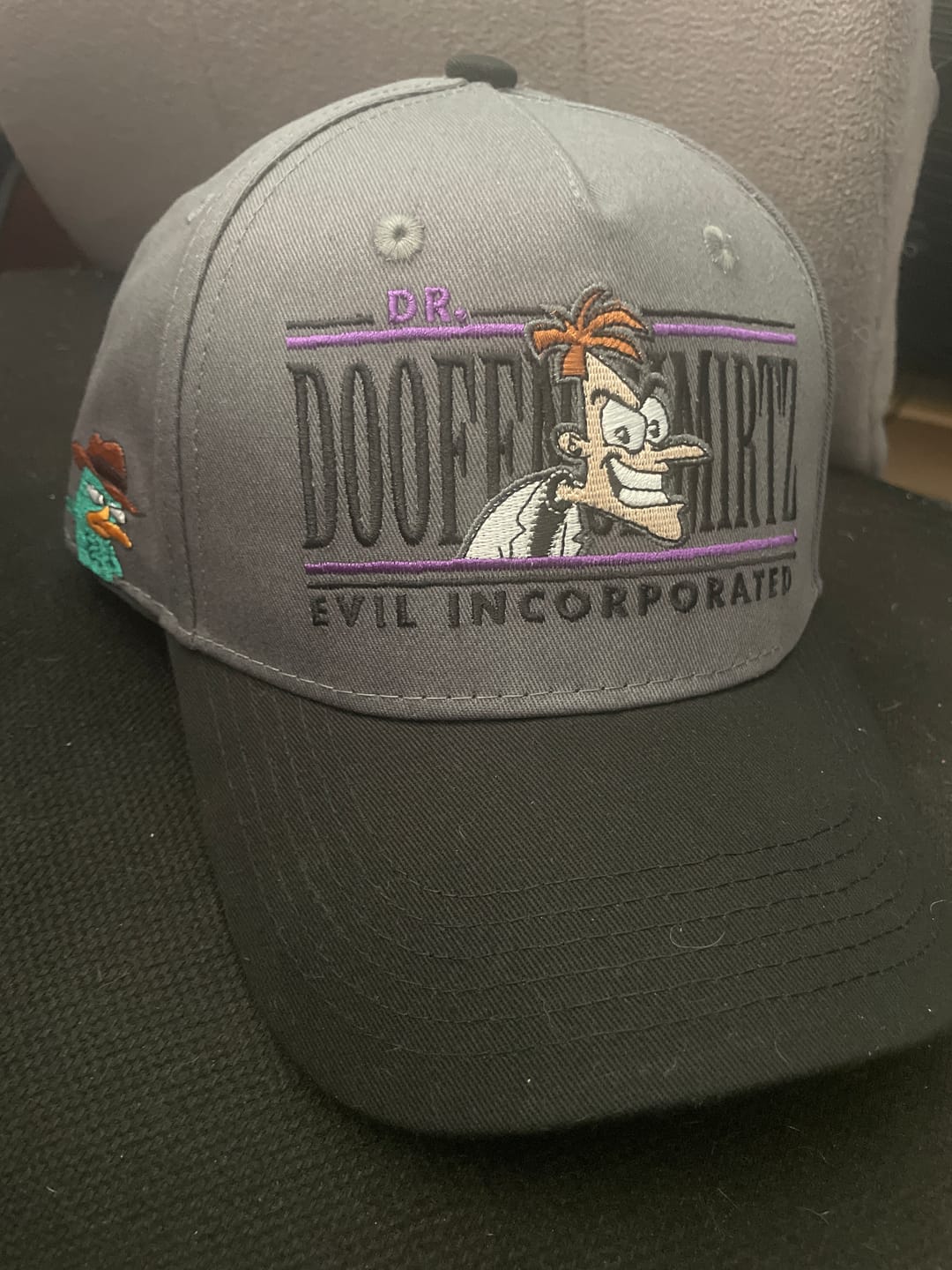 Customer photo review of Disney’s Phineas and Ferb "Doofenshmirtz Evil Incorporated" – 5-Panel Hat