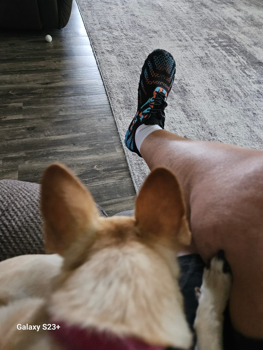 Customer photo review of FluxTrail