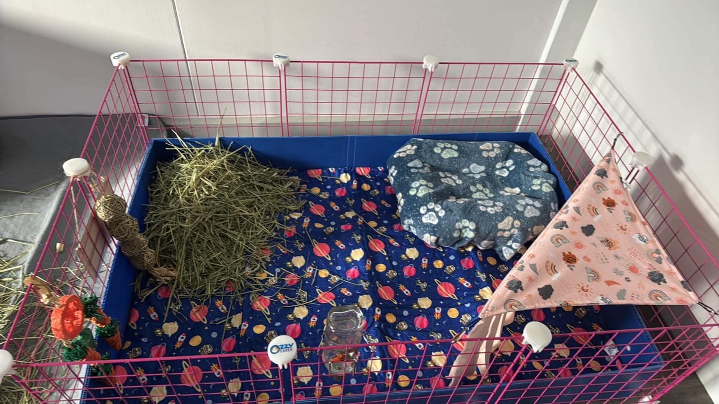 Customer photo review of Pigs In Space Fleece Liner for C&C Ozzy Cages