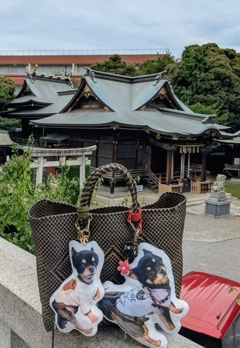 Customer photo review of 本物そっくり♪ペットクッション