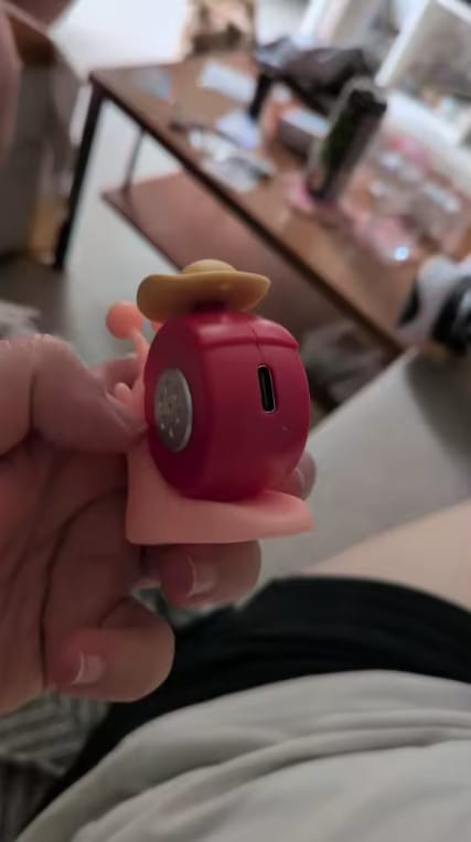 Customer photo review of Mushi Voice Grabadora