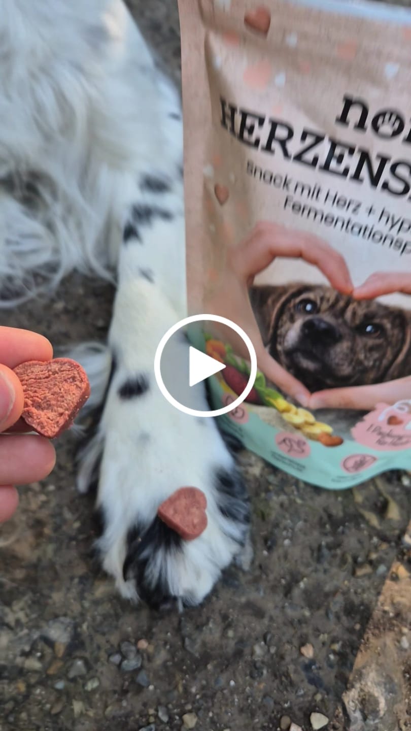 Customer video review of Herzenshappen: Hypoallergener Soft-Snack für sensible Hunde und den Tierschutz
