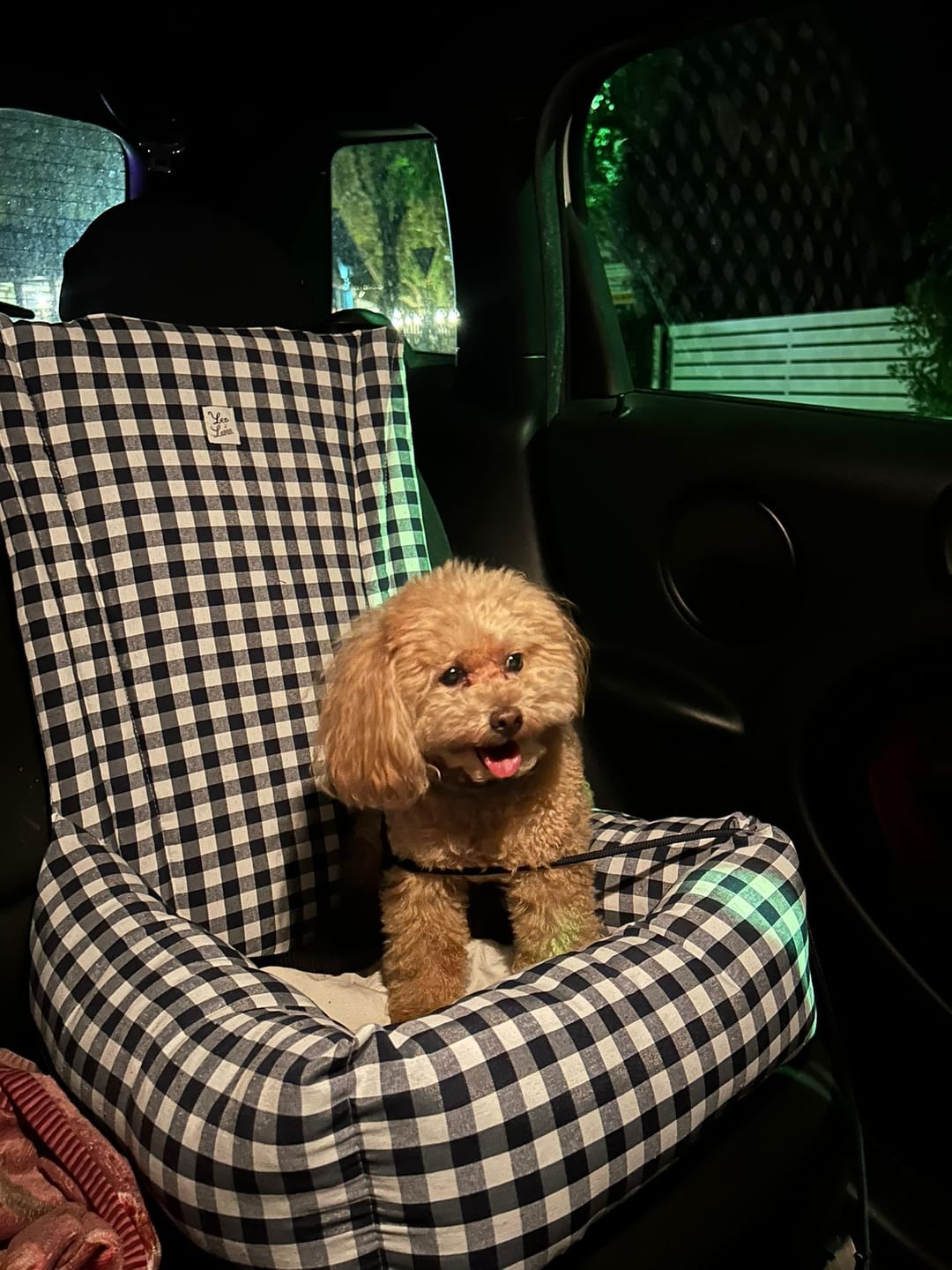 Customer photo review of Seggiolino Auto Cotone Quadretto Navy