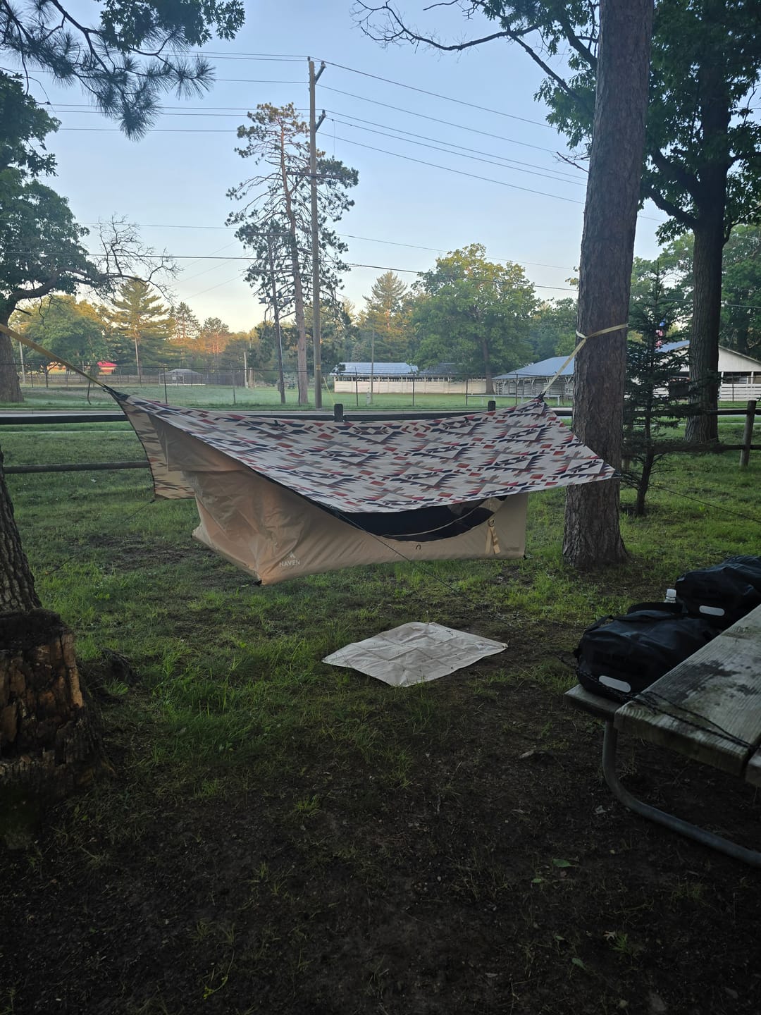 Customer photo review of Haven Safari