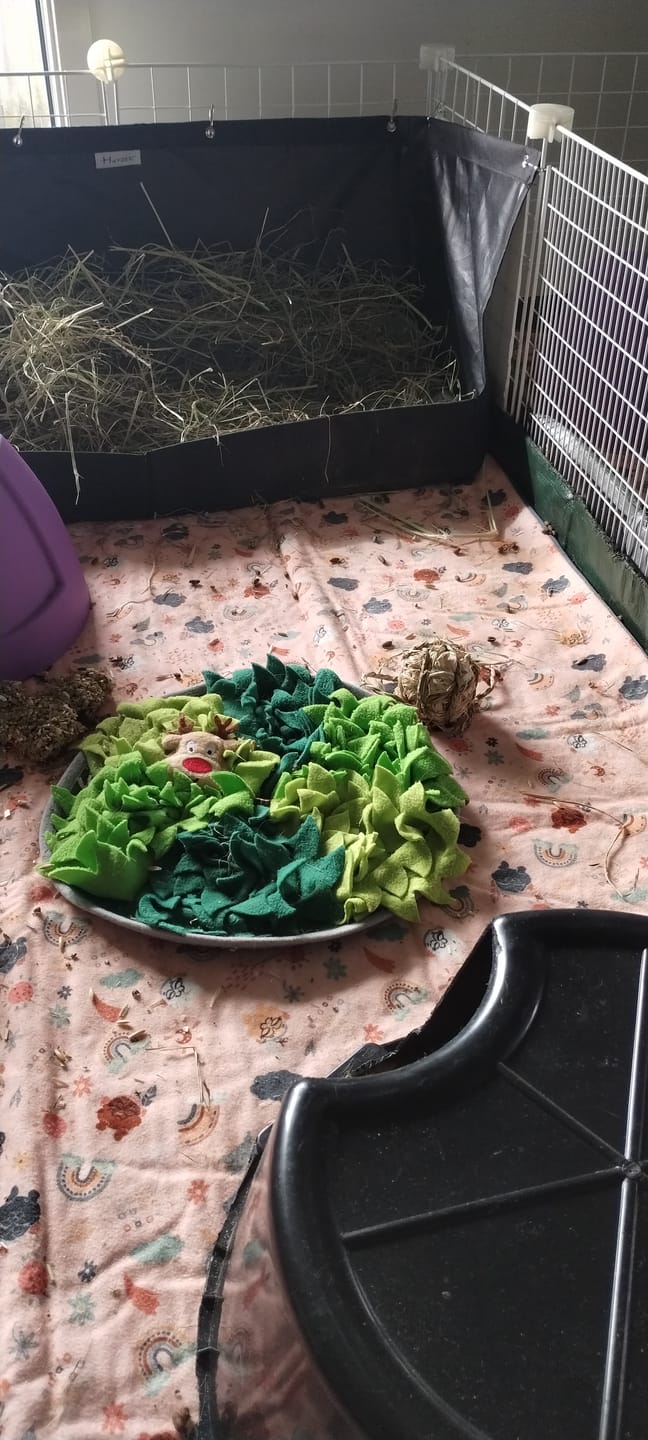 Customer photo review of Earthchild Fleece Liner for C&C Ozzy Cages