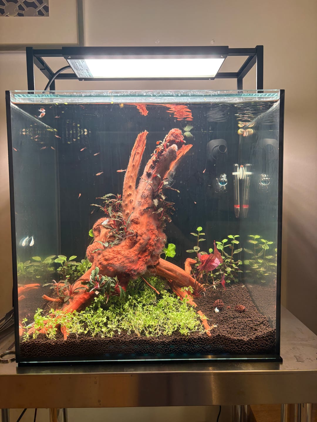 Customer photo review of Chihiros WRGB II Slim LED Light