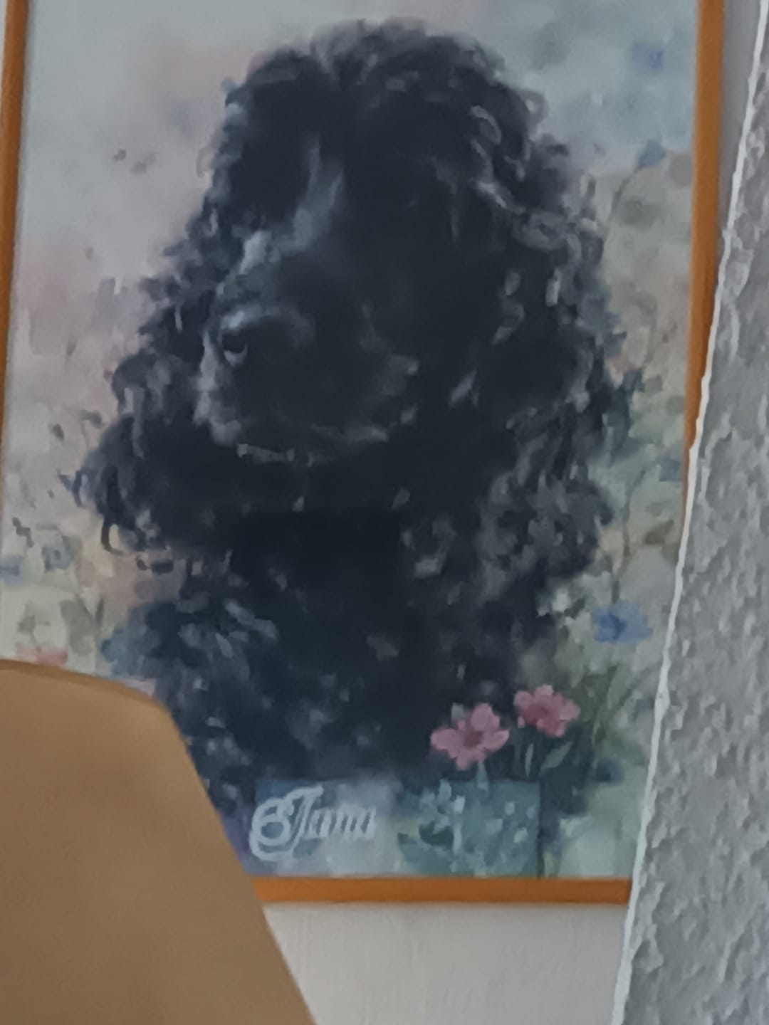 Customer photo review of Aquarelle - Poster personnalisé