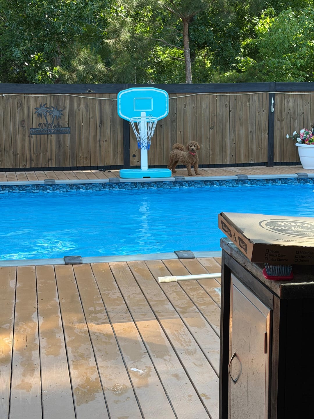 Customer photo review of Winter Pool Closing Kit