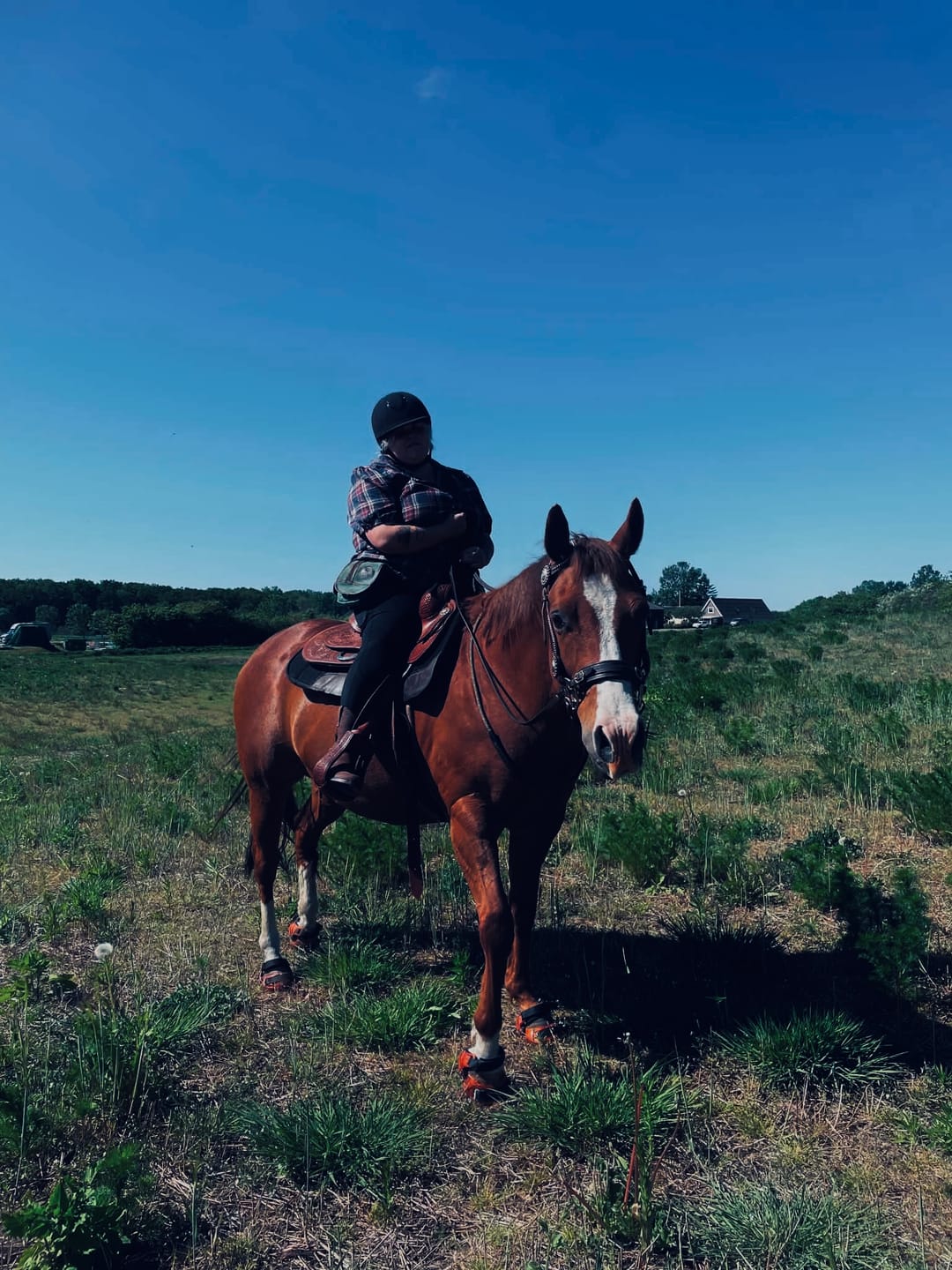 Customer photo review of Renegade® Viper Shield™ Hoof Boot - Arizona Copper
