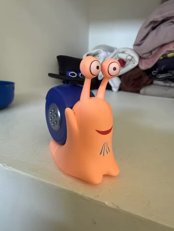 Customer photo review of Mushi Voice Grabadora