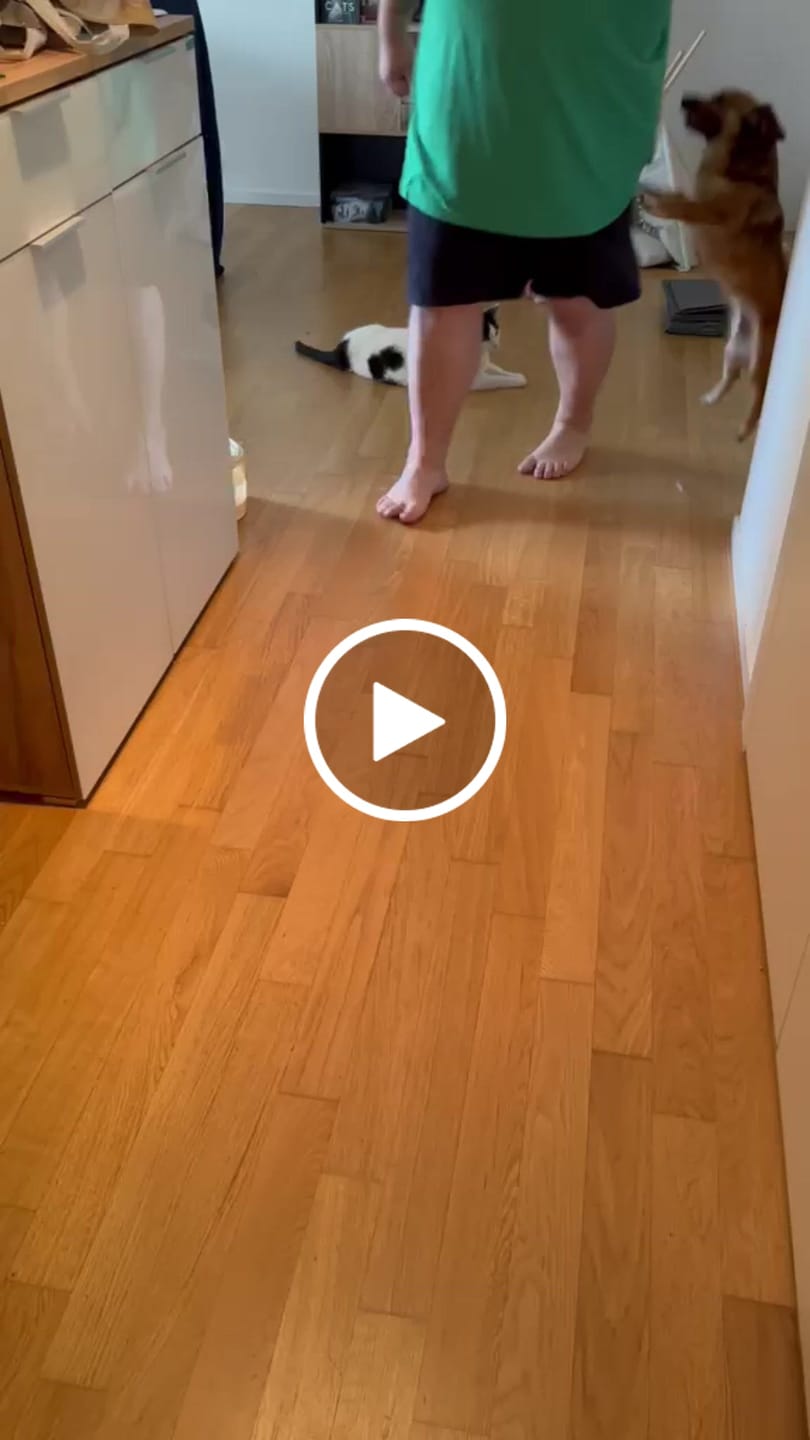 Customer video review of Frischfutter für Energiebedarf von 326 kCal/Tag