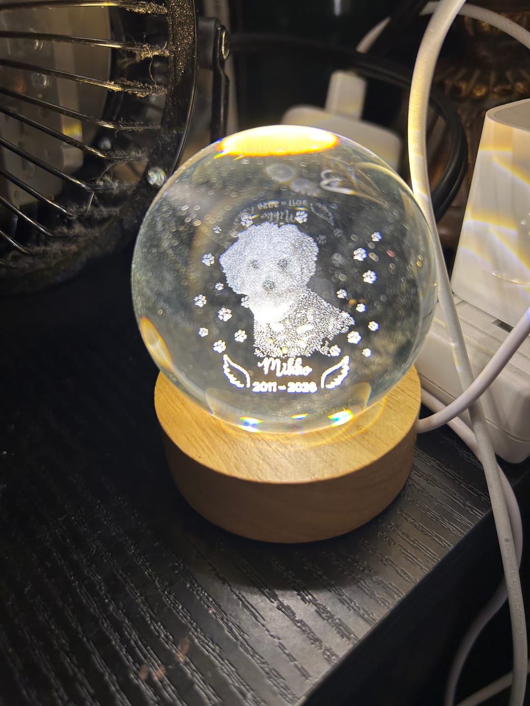 Customer photo review of Dog Angel Wings Memorial - Personalized Crystal Ball LED Night Light - Sympathy Gift For Dog Lovers