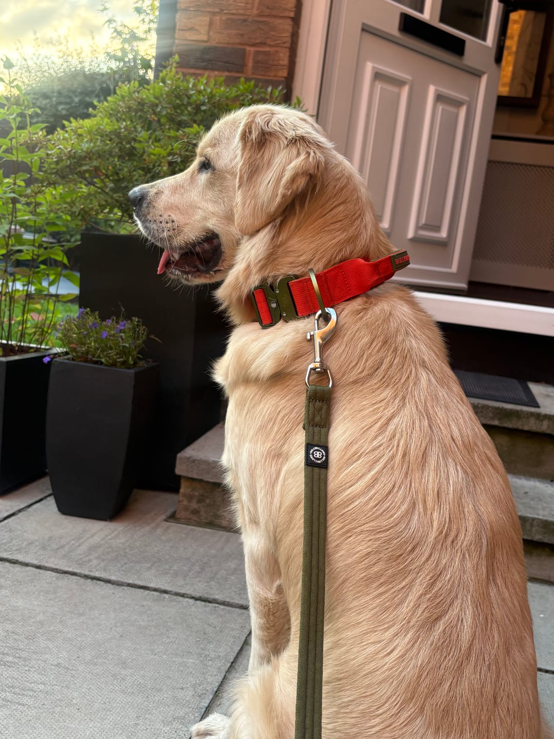 Customer photo review of 4cm LIGHTER Combat® Collar | With Handle & Secure Clip - Burnt Orange X Khaki