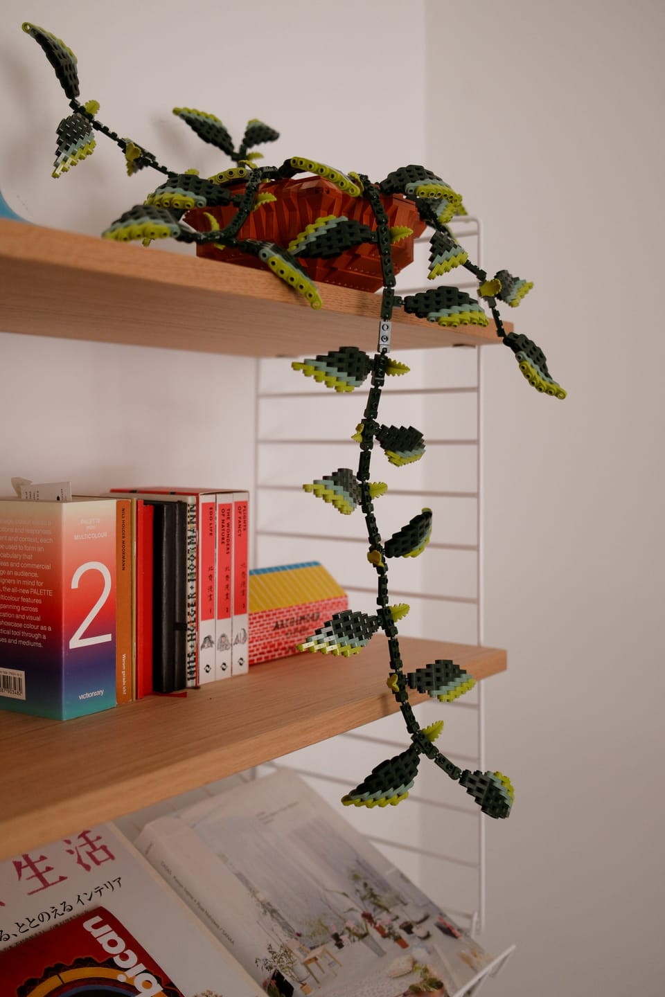 Customer photo review of Builder's Pothos