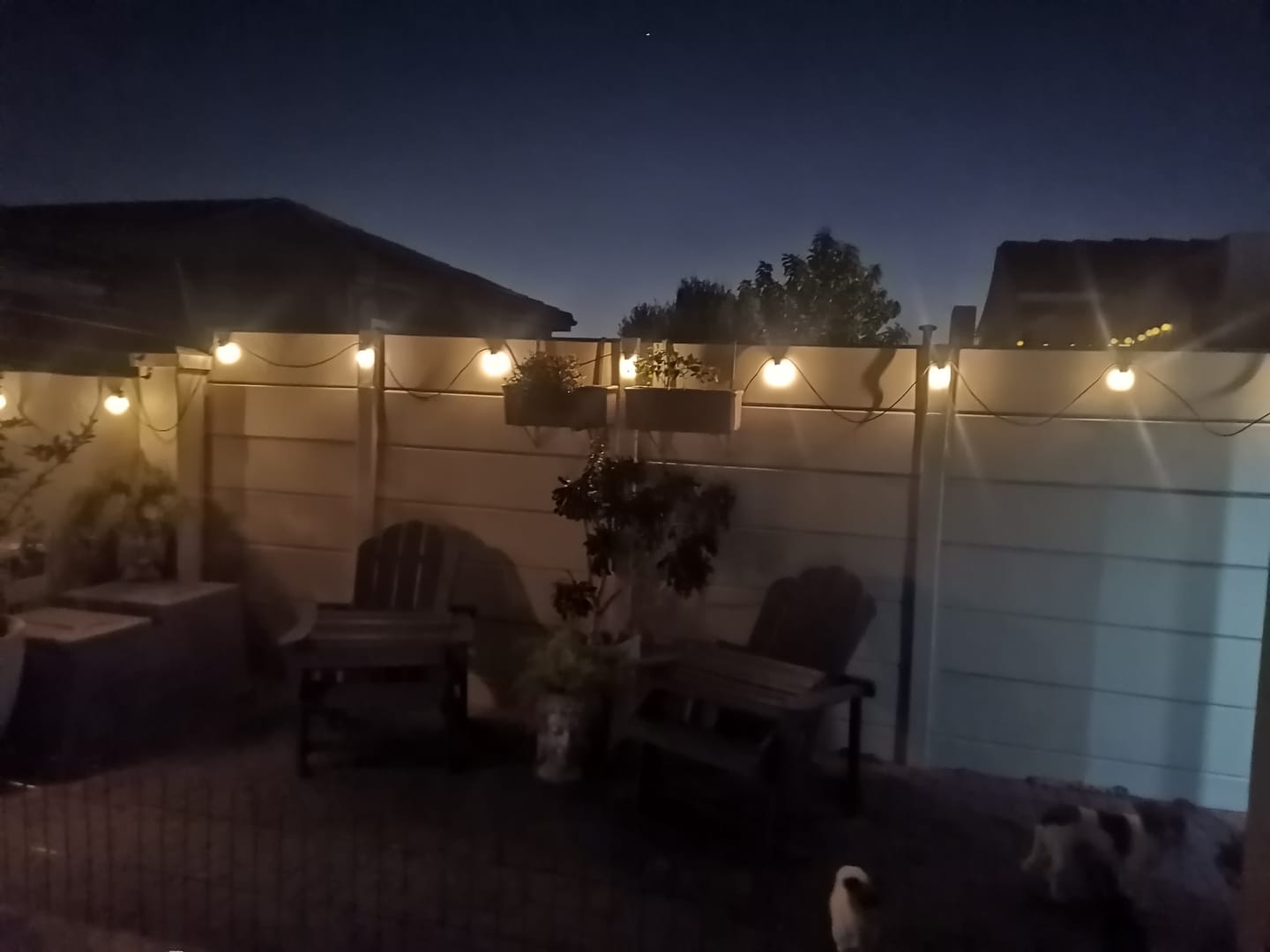 Customer photo review of Solar Festoon Bulb String Lights