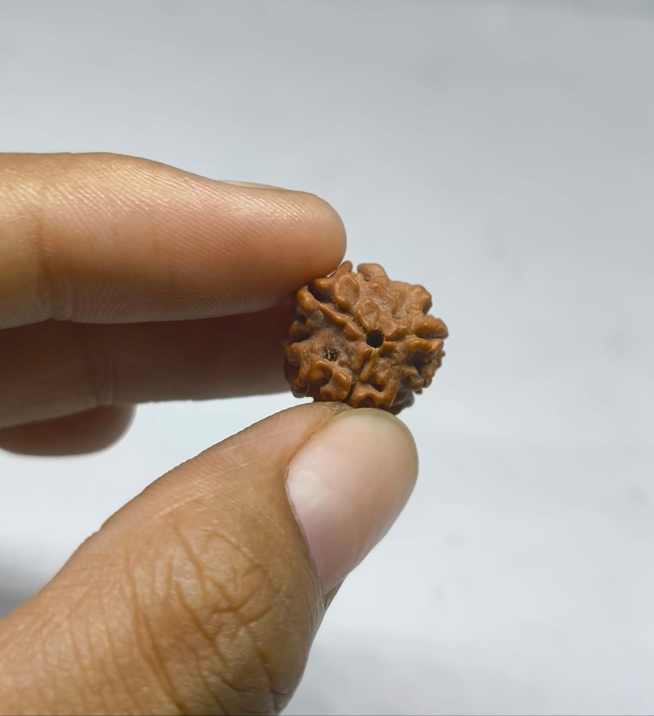 Customer photo review of Nepal Origin 3 Mukhi Rudraksha - 17mm to 22mm