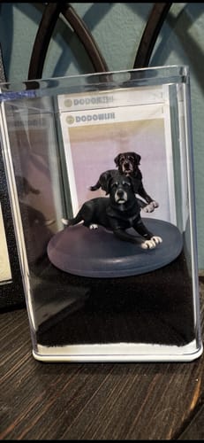 Customer's personalized 3D figurine of two black dogs, shown inside the repurposed shipping container as a display case.