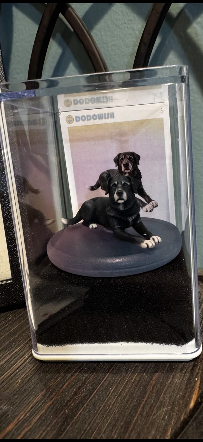 Customer photo review of Custom 3D Action Figure: Personalized 3D Figurine from Photo