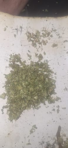 Bubba Candy - 28 Gramm - Indica photo review