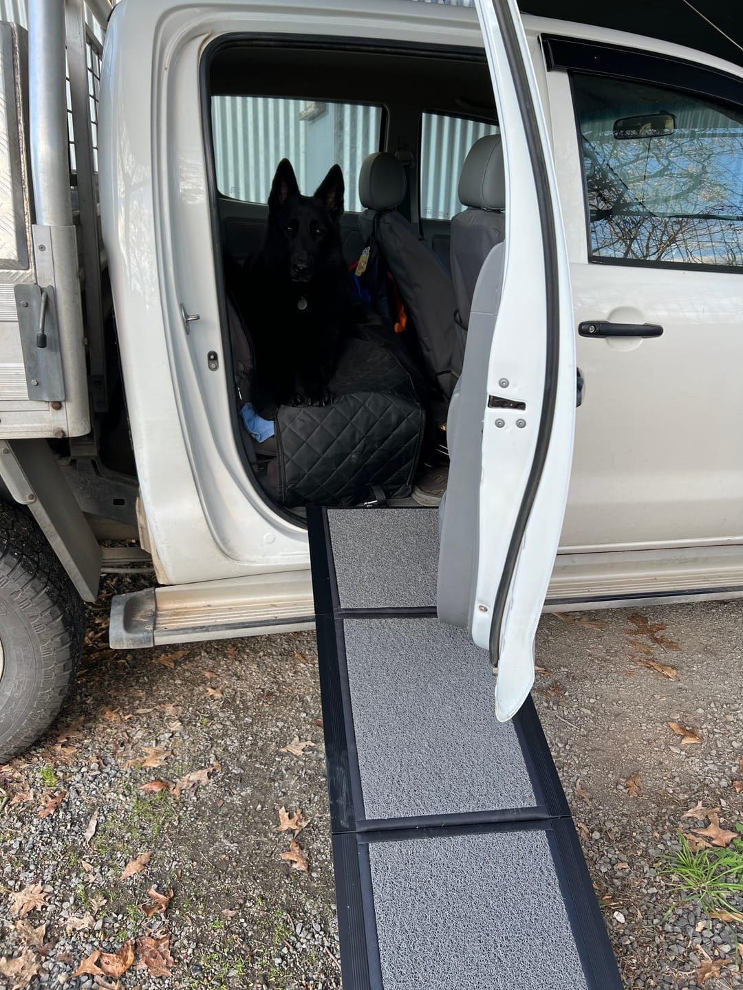 Customer photo review of Foldable Dog Travel Ramp For SUV Cars
