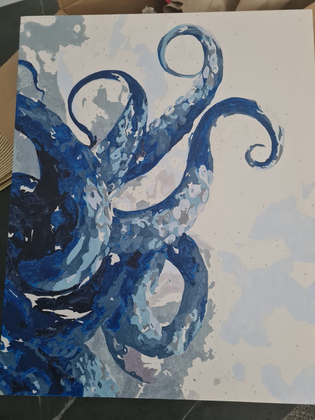 Customer photo review of Tentacles | Paint by Number