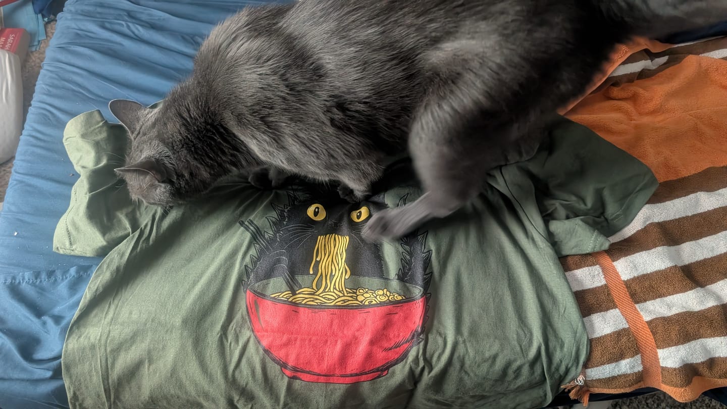 Customer photo review of Kyattojiras Fav Ramen Everyday Softstyle Tee