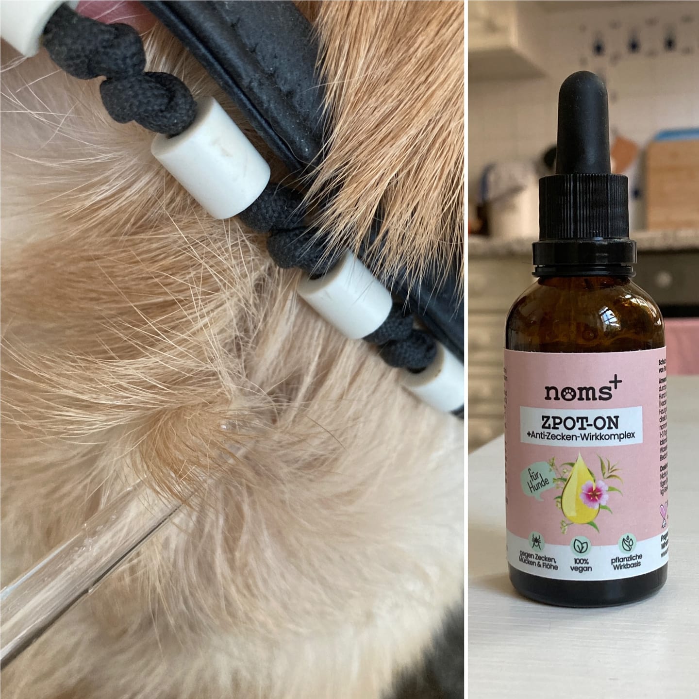 Customer photo review of Zpot-on classic für Hunde gegen Zecken, Flöhe, Milben & Mücken [Jahresvorrat]