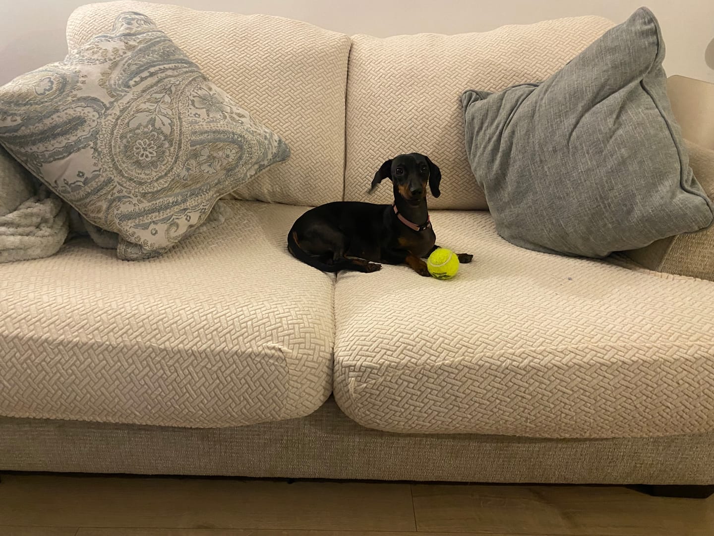 Customer photo review of Funda Mágica Cubre Sofá —  Renueva tu sofá en 2 minutos.