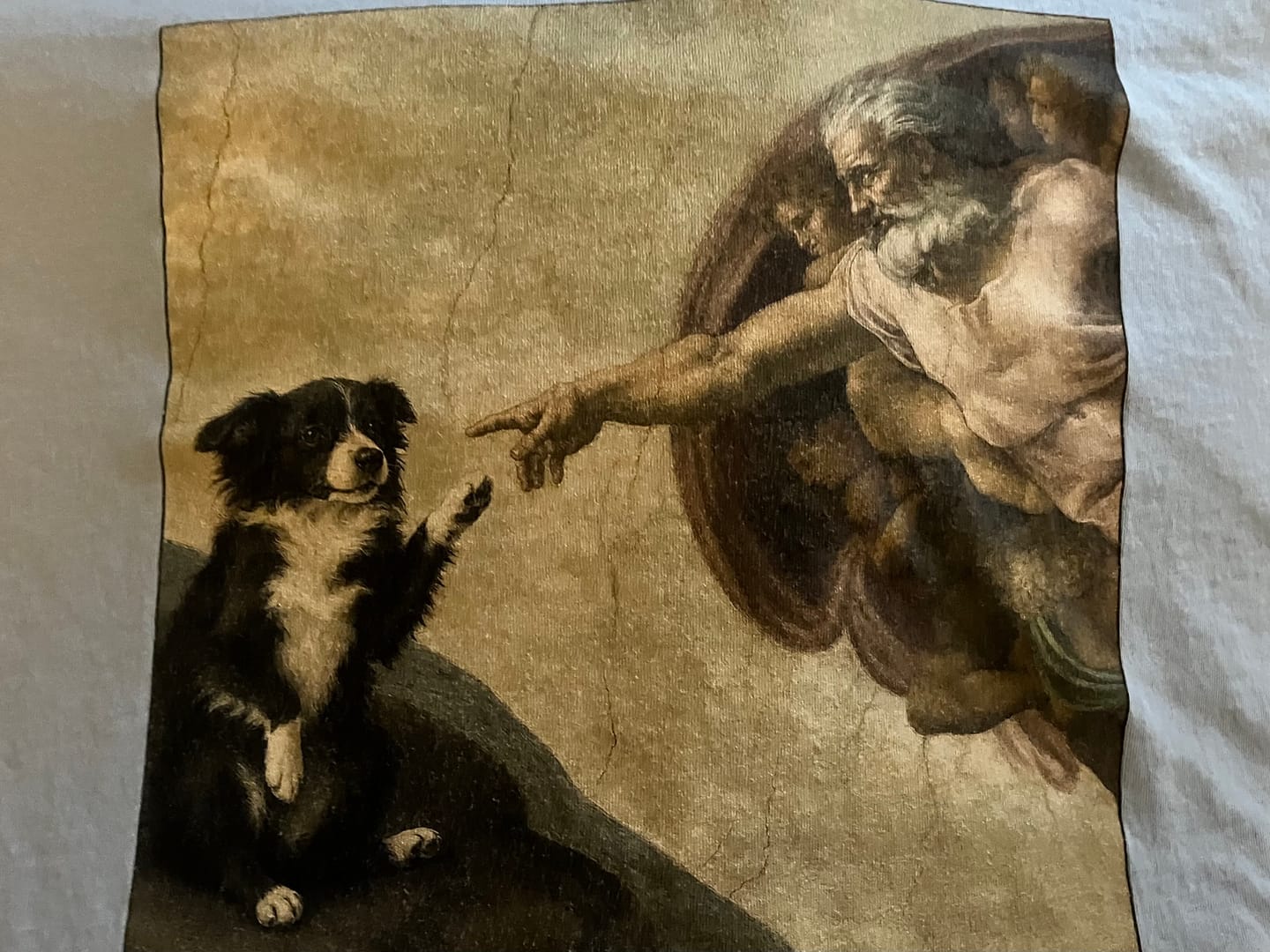 Customer photo review of Custom Pet T-shirt for Women - Michelangelo Painting Style