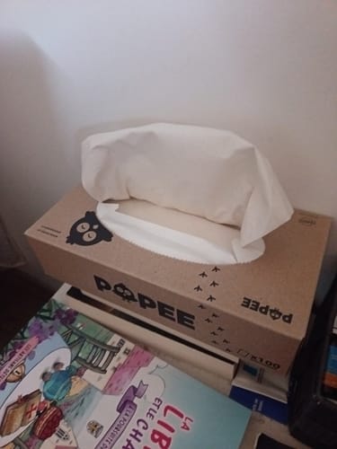 Boîte de mouchoirs triple épaisseur d'un client, posée sur une pile de livres avec un mouchoir sorti.