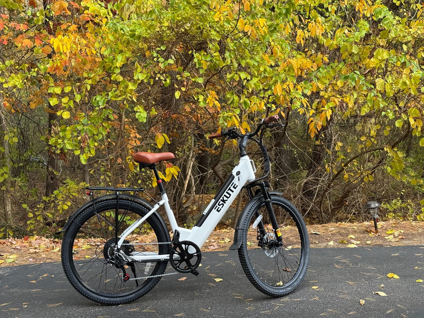 Customer photo review of Eskute C100 Puls City E-Bike