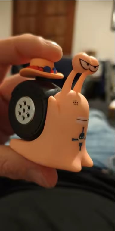Customer photo review of Mushi Voice Grabadora