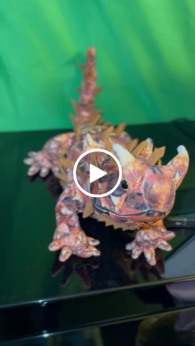 Customer video review of Thorny Devil Lizard Soft Stuffed Plush Toy