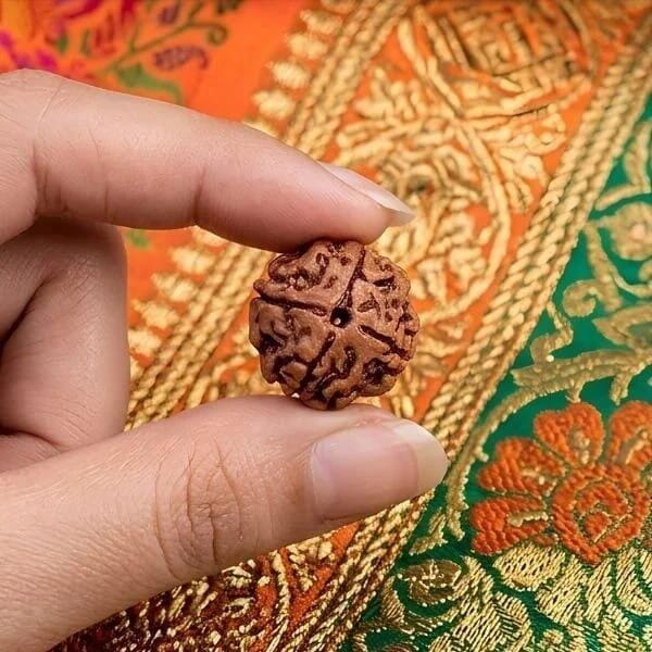 Customer photo review of Nepal Origin 4 Mukhi Rudraksha - 17mm to 22mm