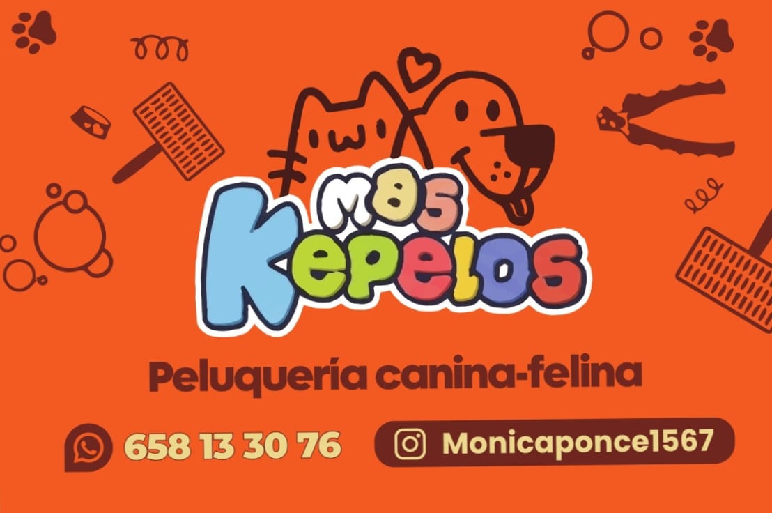 Customer photo review of Expositor Reseñas Google