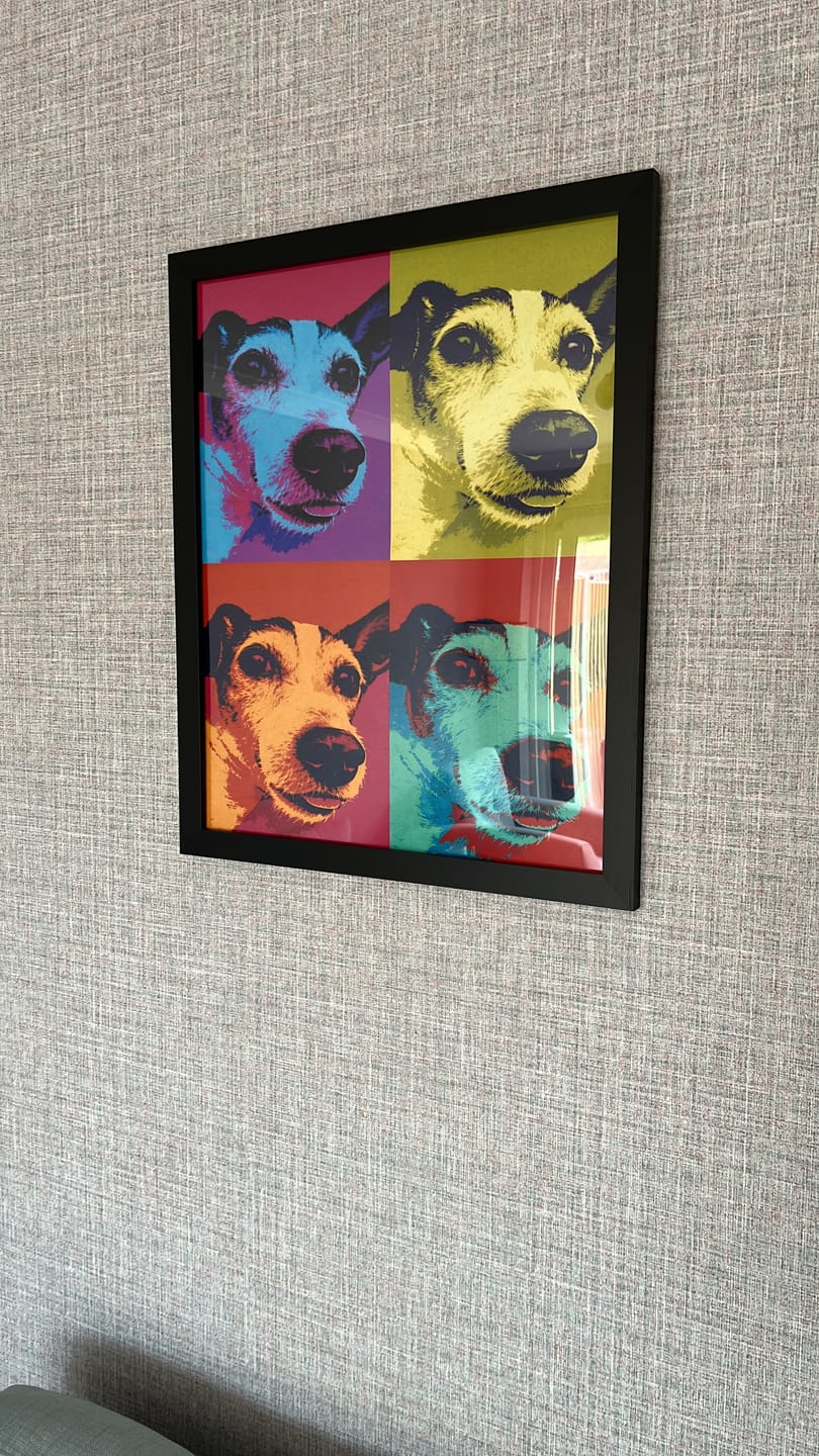 Customer photo review of Personalised Poster With Dog or Cat - Colour Squares