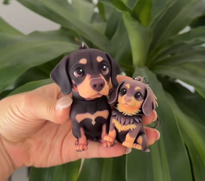 Customer photo review of Custom 3D Pet Figure Keychain
