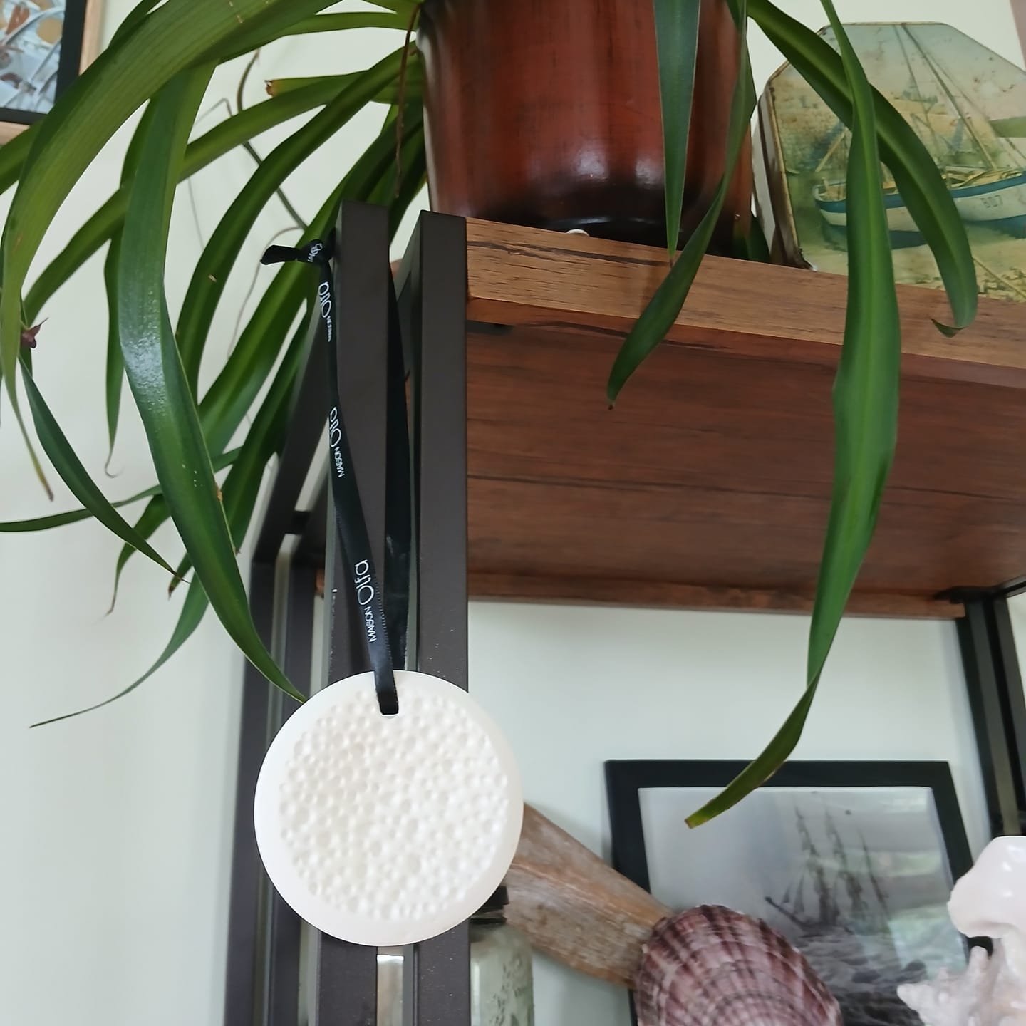 Customer photo review of Diffuseur suspendu